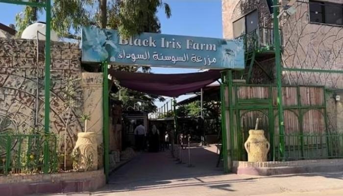الأردن يوضح أسباب إغلاق حديقة السوسنة السوداء.. 29 مخالفة وإنذارات سبقت القرار الأردن يوضح أسباب إغلاق حديقة السوسنة السوداء.. 29 مخالفة وإنذارات سبقت القرار