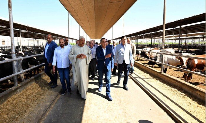 مصر.. مدبولي يتفقد محطة الإنتاج الحيواني وتصنيع الألبان التابعة لوزارة الزراعة مصر.. مدبولي يتفقد محطة الإنتاج الحيواني وتصنيع الألبان التابعة لوزارة الزراعة