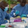 الكونغو الديمقراطية تسجل 37 وفاة جديدة بالإيبولا خلال 24 ساعة وترفع الحصيلة إلى 930 وفاة الكونغو الديمقراطية تسجل 37 وفاة جديدة بالإيبولا خلال 24 ساعة وترفع الحصيلة إلى 930 وفاة