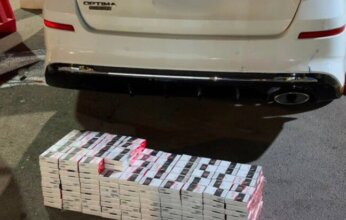 «جمارك الكويت»: إحباط محاولة تهريب 43 كرزاً و8 باكيتات سجائر عبر منفذ النويصيب