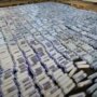 مصر: السجن المؤبد لأفراد عصابة يتزعمها صاحب محال بالساحل الشمالي بعد ضبط مخدرات بقيمة 250 مليون جنيه 1 khaligyoun84752