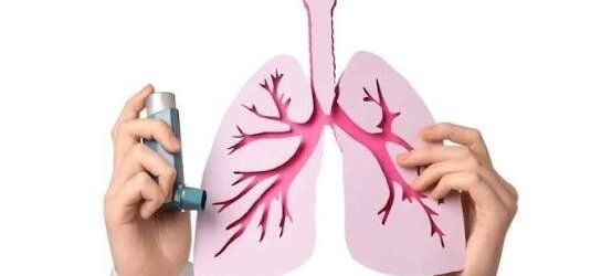 دراسة دولية تكشف نهجًا علاجياً جديداً قد يغير مستقبل علاج الربو والتهابات الرئة دراسة دولية تكشف نهجًا علاجياً جديداً قد يغير مستقبل علاج الربو والتهابات الرئة