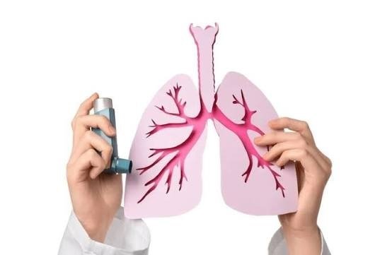 دراسة دولية تكشف نهجًا علاجياً جديداً قد يغير مستقبل علاج الربو والتهابات الرئة