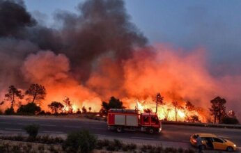 قتلى ومئات المتضررين وتوقف المهرجانات.. حرائق الغابات تضرب الجزائر مع ارتفاع قياسي في درجات الحرارة