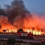قتلى ومئات المتضررين وتوقف المهرجانات.. حرائق الغابات تضرب الجزائر مع ارتفاع قياسي في درجات الحرارة 1 khaligyoun93801